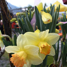 IMG_6170.JPG
