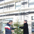 IMG_5916.JPG