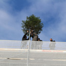IMG_5938.JPG