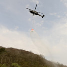 ABD0058-20190408.jpg