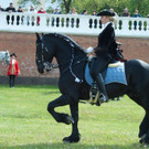 Maibaumfest und Tierumzug __ SKB_Jutta Kirchner _1_.jpg