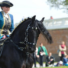 Maibaumfest und Tierumzug __ SKB_Jutta Kirchner _2_.jpg