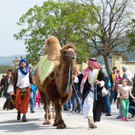 Maibaumfest und Tierumzug __ SKB_Jutta Kirchner _9_.jpg