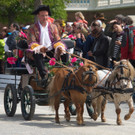 Maibaumfest und Tierumzug __ SKB_Jutta Kirchner _10_.jpg