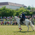 Musketiertage auf Schloss Hof