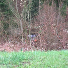 unfall13.jpg