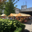 FrühlingsMarkt in Lauterach 