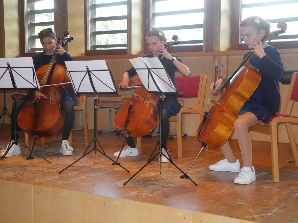 Cello.JPG