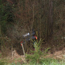 IMG_5074_1.JPG