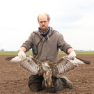 Toter M__usebussard und Greifvogelexperte Matthias Schmidt_c_ BirdLife.jpg