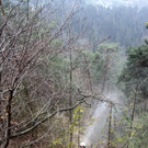 100-IMG_2384.JPG