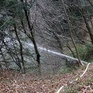 103-IMG_2389.JPG