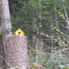 IMG_1547.JPG
