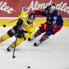 Vienna Capitals vs. RB Salzburg