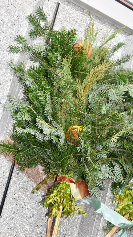DSC_0541.JPG