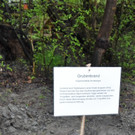 DSC_0594.JPG