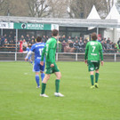 IMG_1517.JPG
