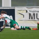 file74x4qw1gk0h1l5hyvifh.jpg