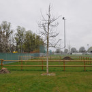 DSC_0018.JPG