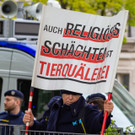 Demonstrationen - Wien - 13_04_2019-67.jpg