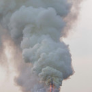 AFP_1FO1M0.jpg
