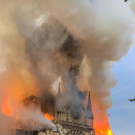 AFP_1FO24I.jpg