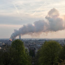 AFP_1FO258.jpg