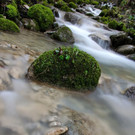 DSC_0162.jpg