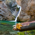 DSC_0166.jpg