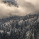 DSC_0337.jpg