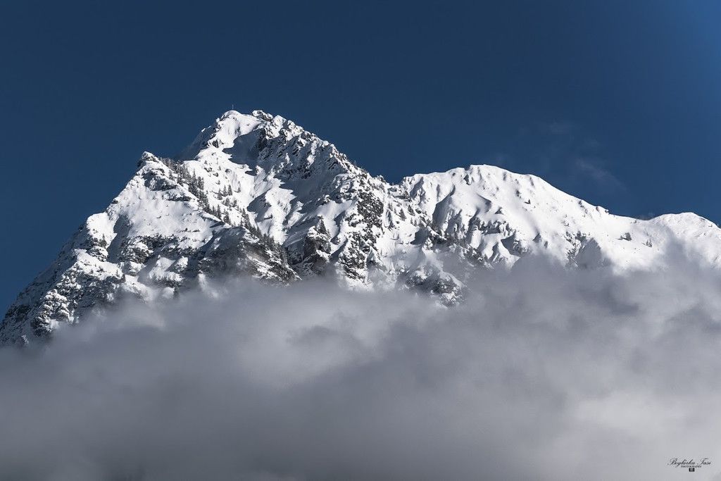 DSC_0444.jpg