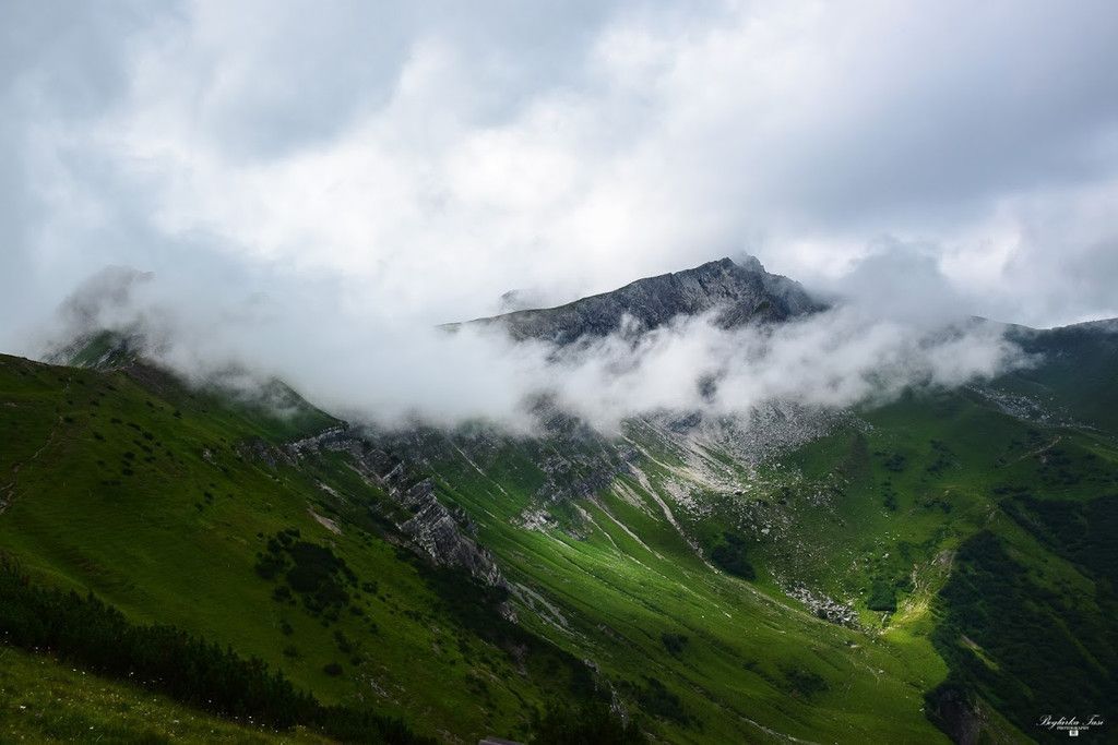 DSC_0492-2.jpg