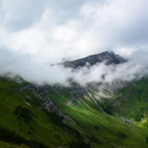 DSC_0492-2.jpg