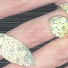Schmuck in Wien-Floridsdorf gestohlen