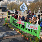 AFP_1FP8CC.jpg