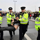 AFP_1FO95A.jpg