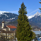 DSC_0350.jpg