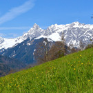 DSC_0355.jpg