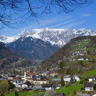DSC_0379.jpg