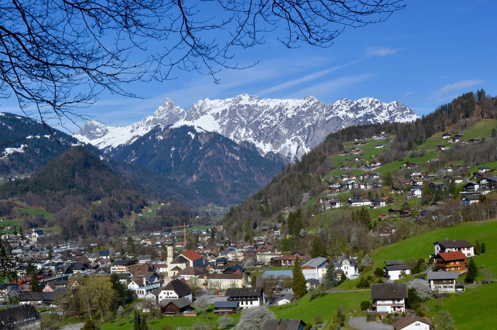 DSC_0379.jpg