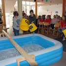Vorderhand Beginn 010.JPG