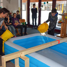 Vorderhand Beginn 013.JPG
