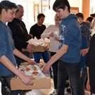 Vorderhand Beginn 035.JPG