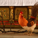 DSC_0597.jpg