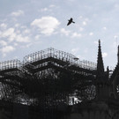 France_Notre_Dame_Frire_52324.jpg