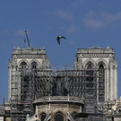 France_Notre_Dame_Fire_57372.jpg