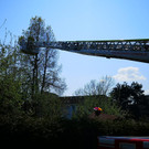 Katzenrettung in Lustenau