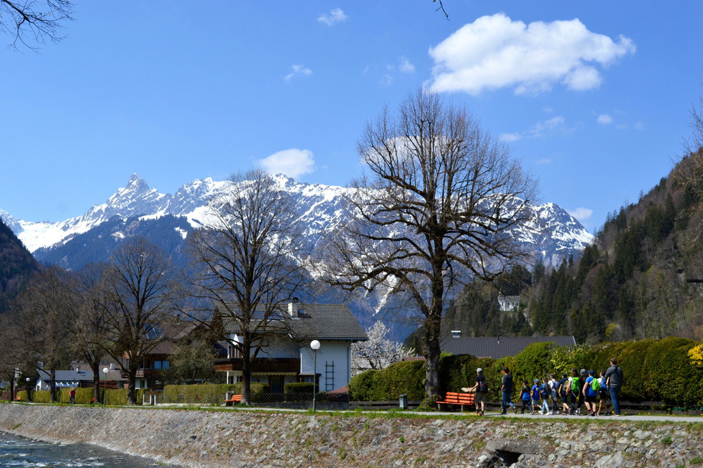 DSC_0647.jpg