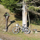Hensler 09 2019-04-15 at 17_36_30.jpg