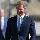 AFP_1FT577.jpg
